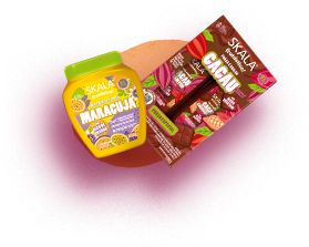 Descubra os lançamentos