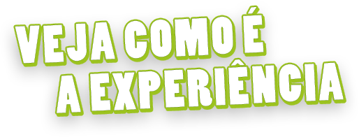 Veja como é a experiência